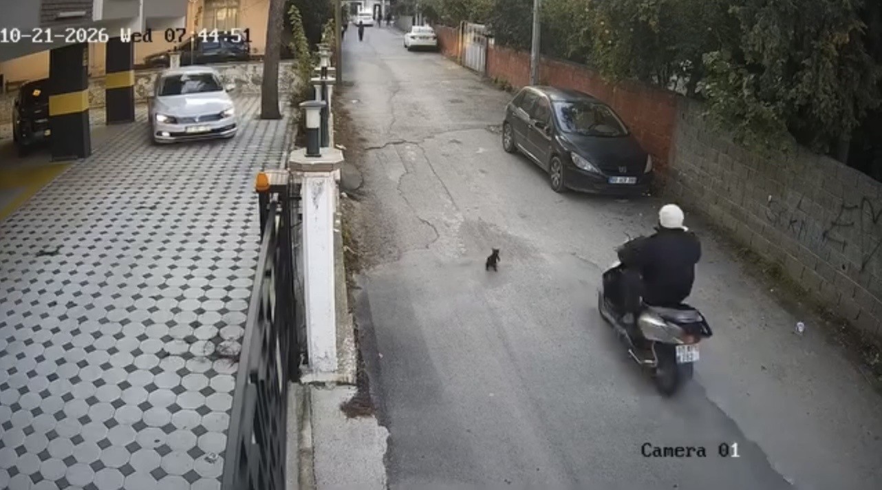 OSMANİYE’DE MOTOSİKLETİN ÇARPTIĞI KEDİ ÖLDÜ