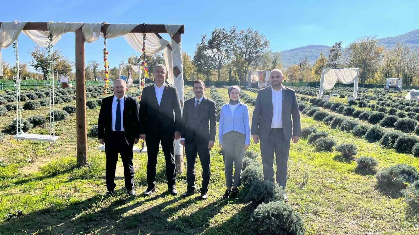 SAMSUN’DA KADIN ÜRETİCİ LAVANTA YETİŞTİRİCİLİĞİYLE TARIMSAL ÇEŞİTLİLİĞE KATKI SAĞLIYOR