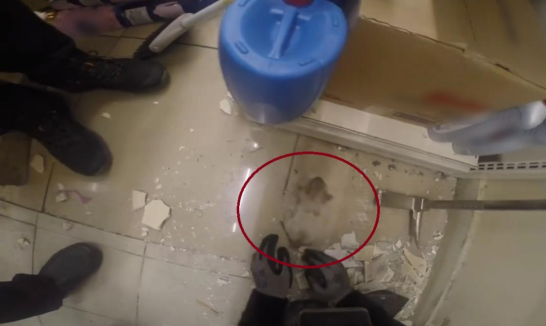 DEMİR PROFİLE SIKIŞAN YAVRU KEDİNİN KURTARILMA ANI KASK KAMERASINDA