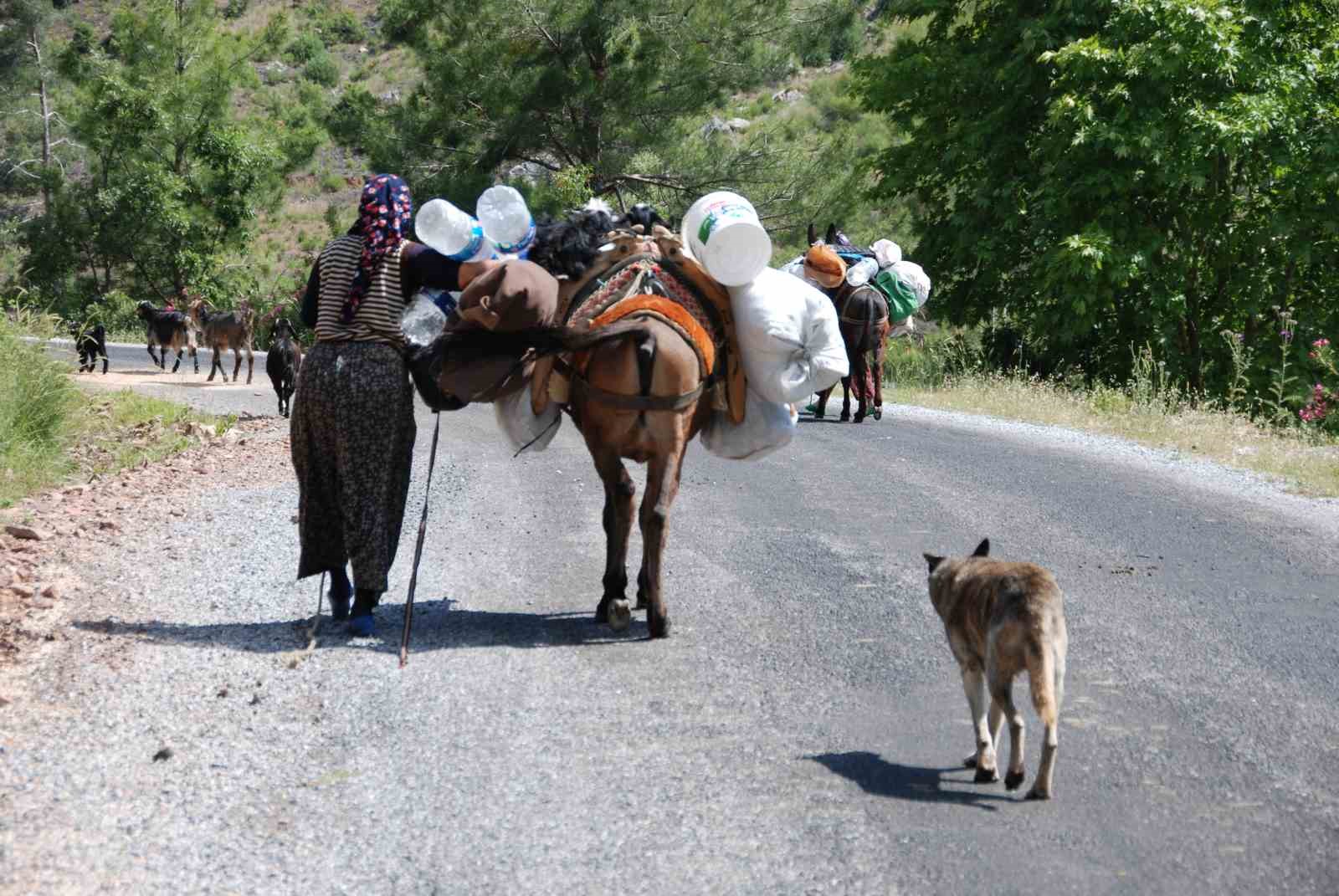 YÖRÜKLERİN TOROSLAR’DAN SAHİLE DÖNÜŞ YOLCULUĞU BAŞLADI