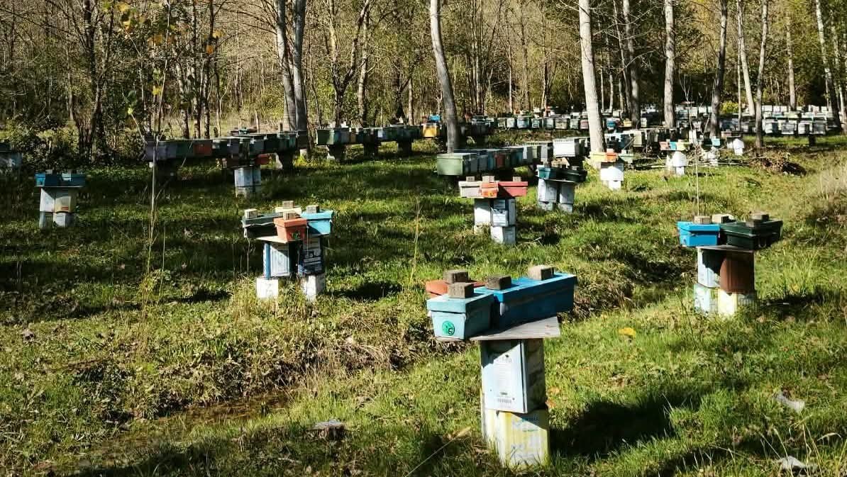 ARILI KOVAN DESTEKLEME BAŞVURULARINDA SON 5 GÜN