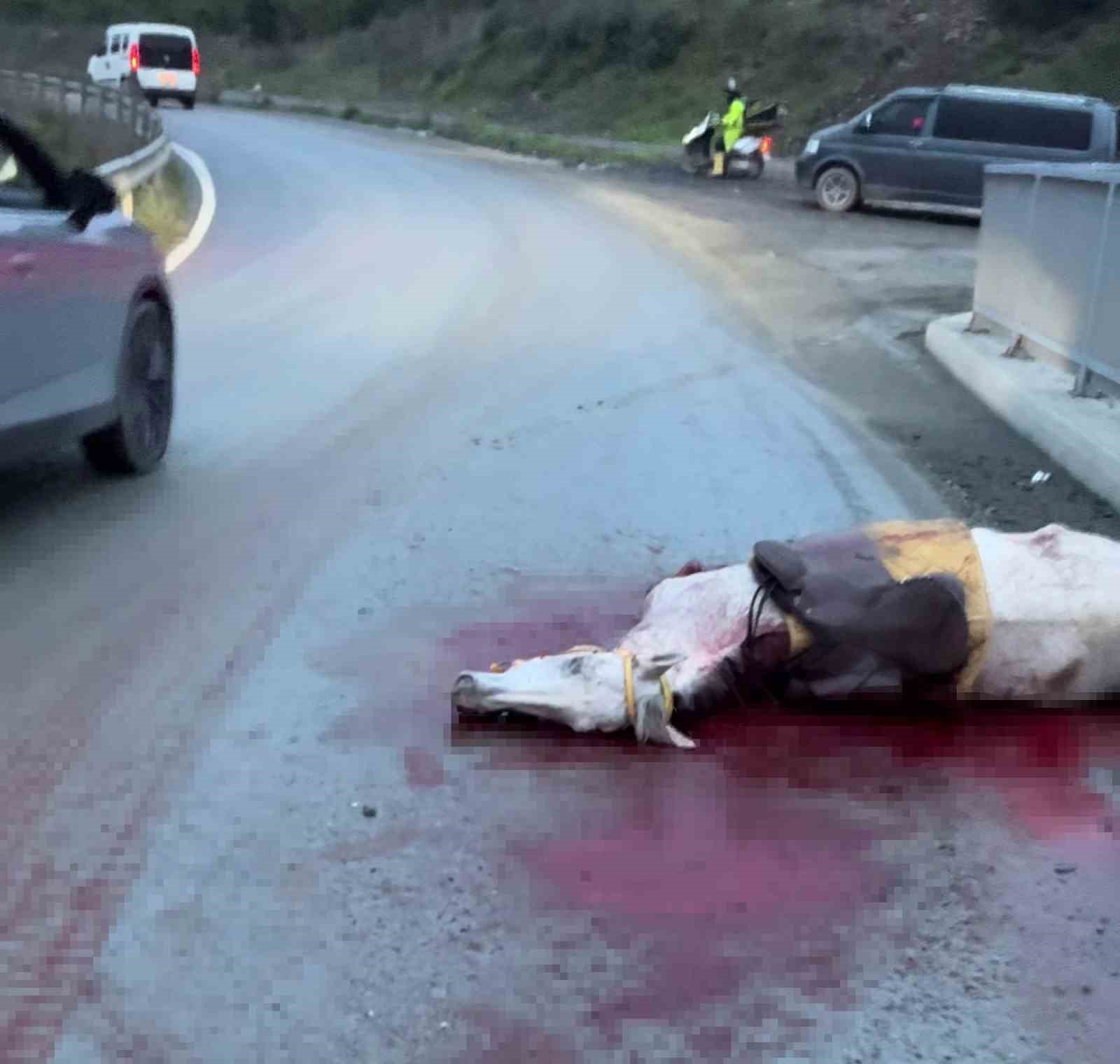 İSTANBUL’DA KORKUNÇ KAZA: ATIN KOPAN BACAĞI OTOMOBİLE SAPLANDI