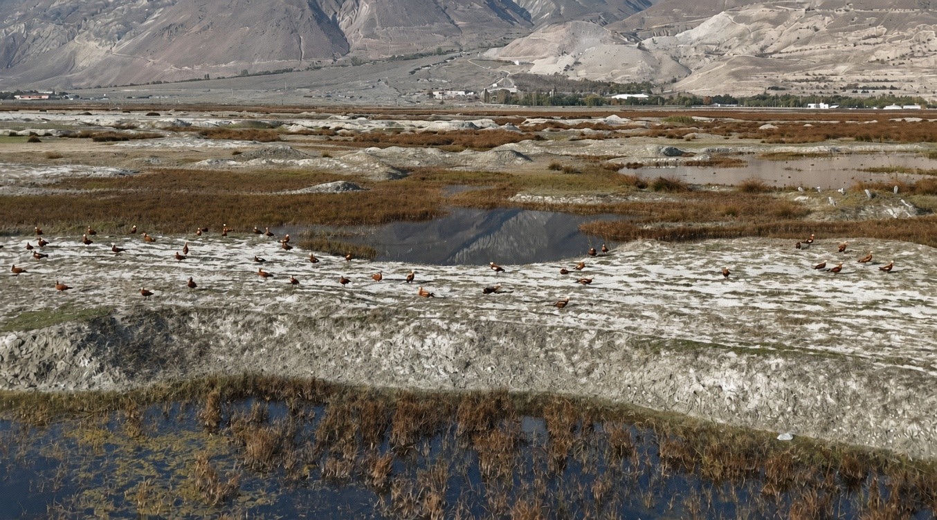 ERZİNCAN’DA KUŞ CENNETİ’NDE GÖÇ ÖNCESİ SON GÖRÜNTÜLER