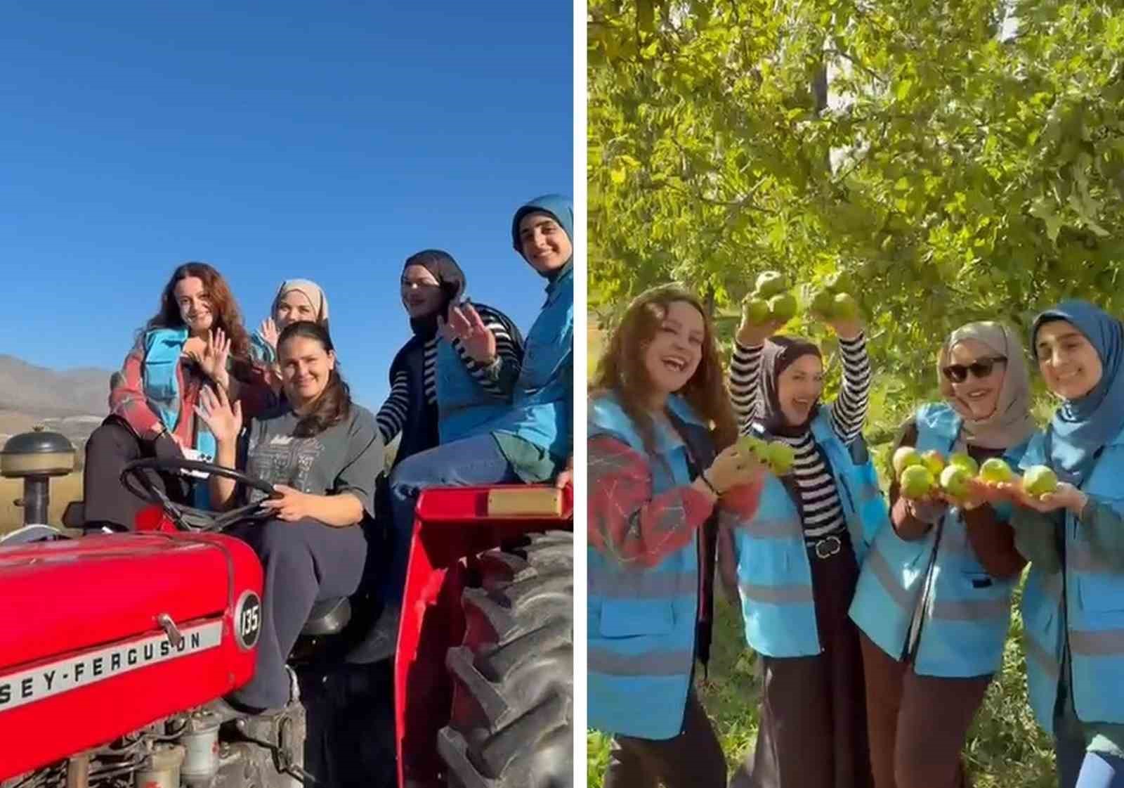 ERZİNCANLI ÖĞRENCİLER ÜZÜMLÜ’DE MEYVE HASADINA KATILDI