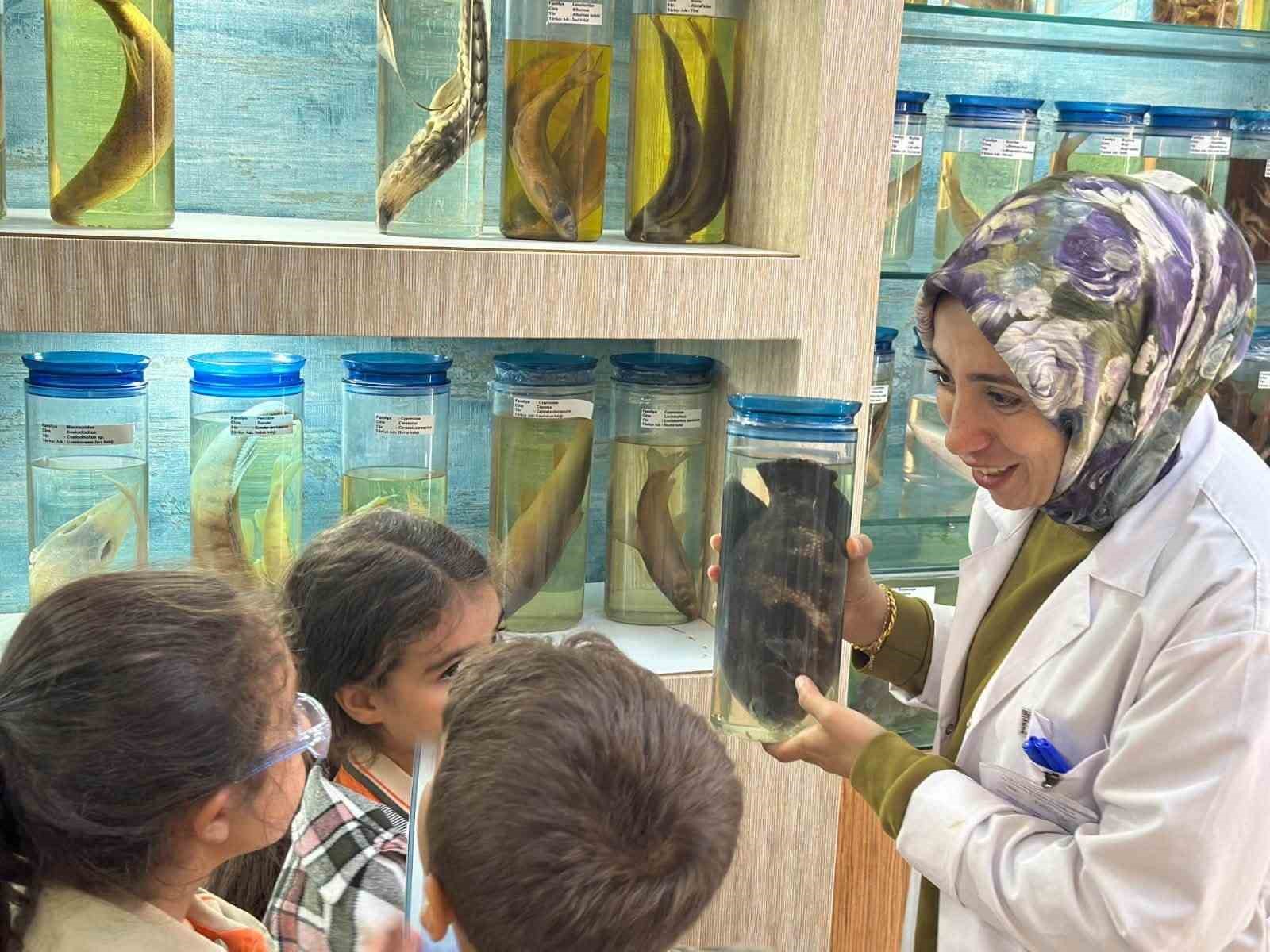 ELAZIĞ’DA ÖĞRENCİLER BALIKLARI YAKINDAN TANIDI