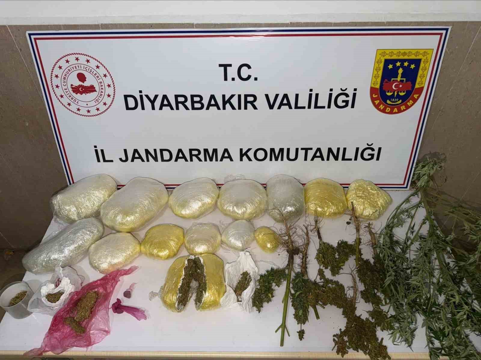 DİYARBAKIR’DA 59 BİN KÖK KENEVİR İLE 109 KİLO UYUŞTURUCU ELE GEÇİRİLDİ