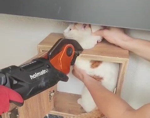 MALATYA’DA POSTA KUTUSUNA SIKIŞAN KEDİ KURTARILDI