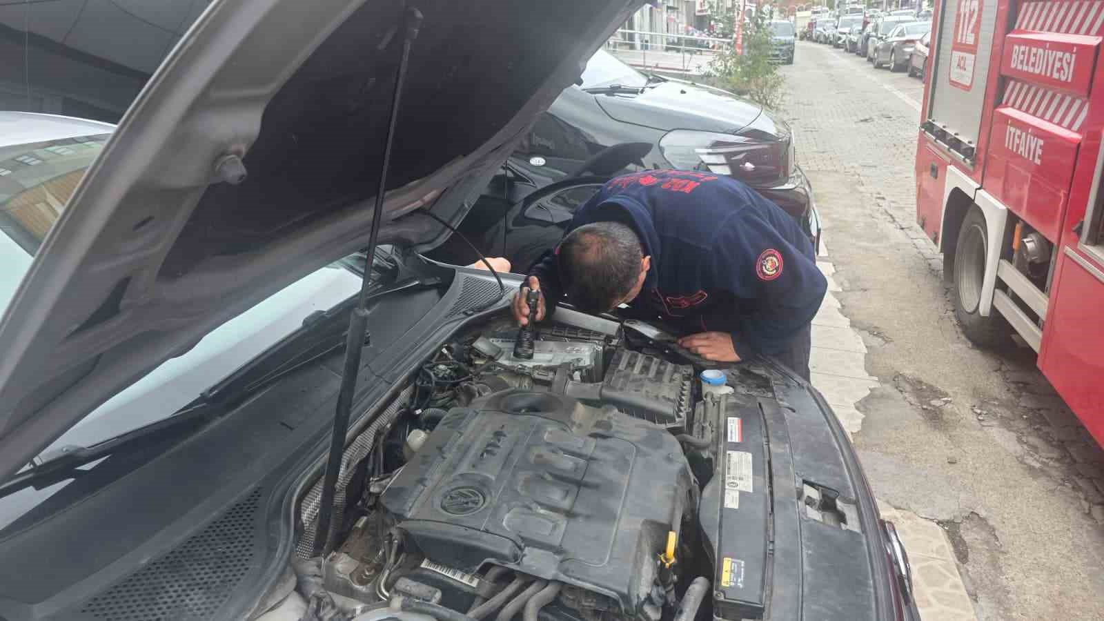 OTOMOBİLİN MOTOR BÖLÜMÜNE GİREN YAVRU KEDİ 1 SAATLİK UĞRAŞIN ARDINDAN ÇIKTI