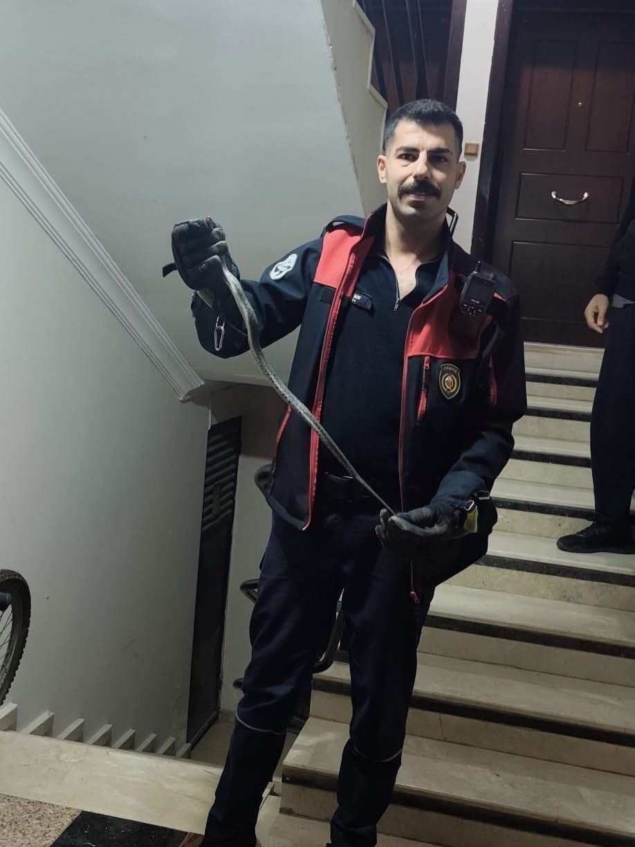 DEFNE’DE YERLEŞİM YERİNDE GÖRÜLEN YILAN DOĞAYA BIRAKILDI