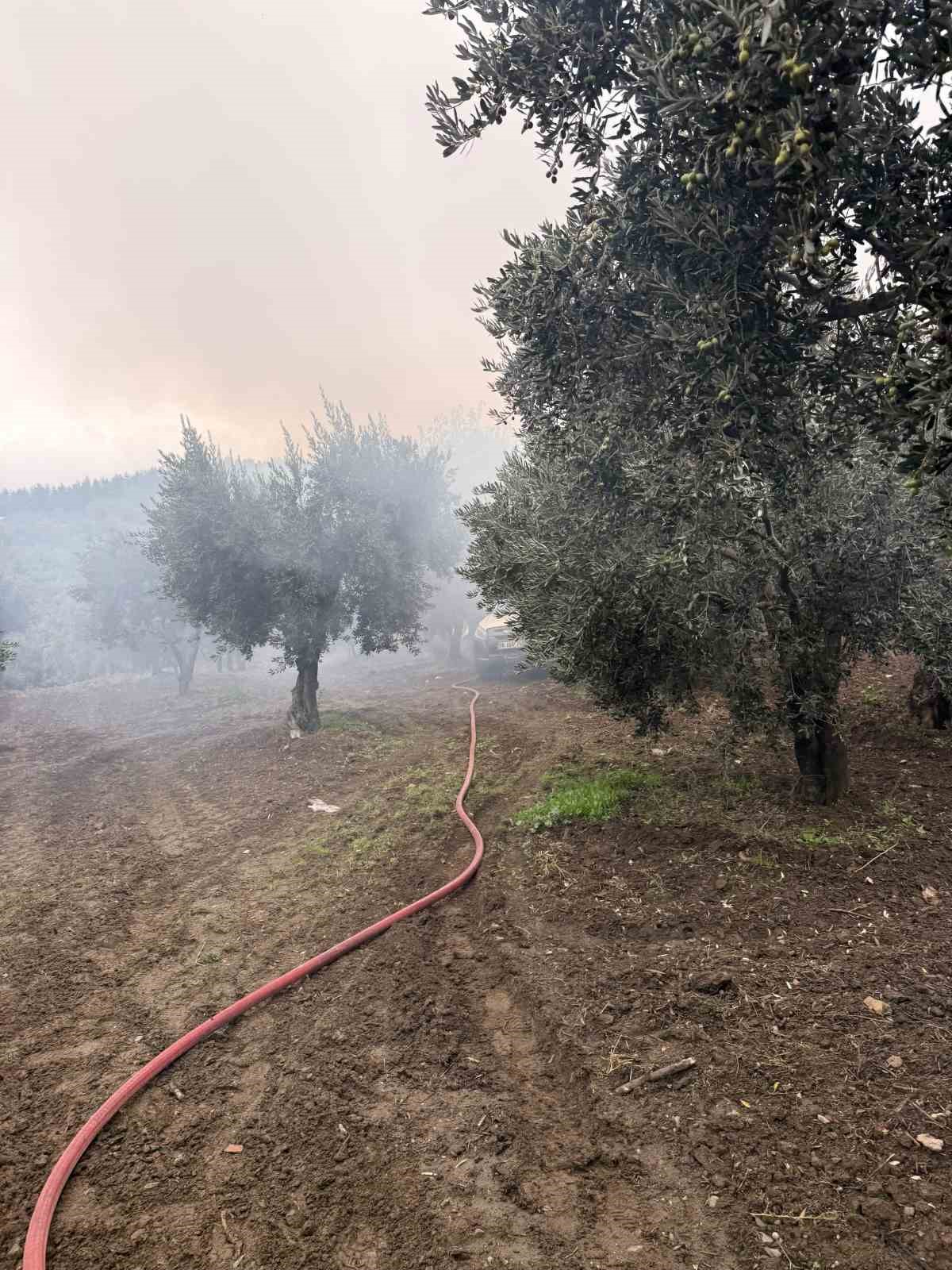 ERDEK’TE ZEYTİNLİK İÇERİSİNDEKİ MÜSTAKİL EVDE YANGIN ÇIKTI
